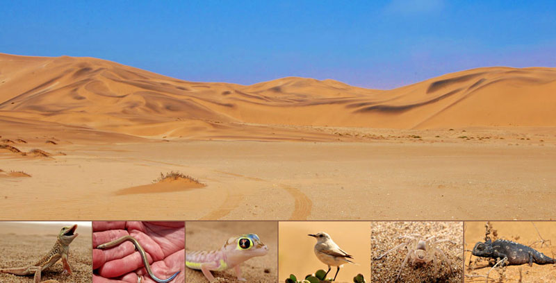 Namibia